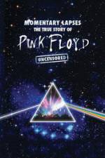 Watch Pink Floyd: Momentary Lapses - The True Story Of Pink Floyd 123MoviesFree
