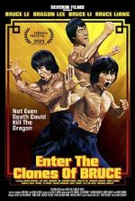 Watch Enter the Clones of Bruce 123MoviesFree