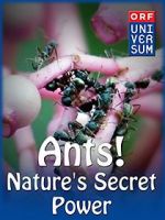 Watch Ants: Nature\'s Secret Power 123MoviesFree