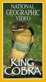 Watch King Cobra 123MoviesFree