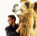 Watch Mikolas Josef: Lie to Me 123MoviesFree