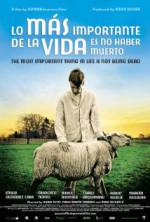 Watch The Most Important Thing in Life Is Not Being Dead 123MoviesFree