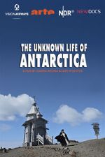 Watch The Unknown Life of Antarctica 123MoviesFree