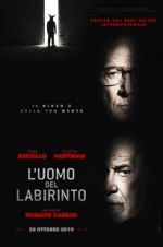 Watch Into the Labyrinth 123MoviesFree