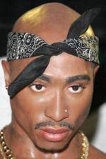 Watch Tupac Is Not Dead 123MoviesFree