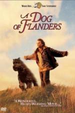 Watch A Dog of Flanders 123MoviesFree