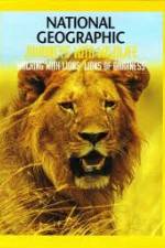 Watch National Geographic: Walking with Lions 123MoviesFree