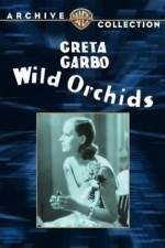 Watch Wild Orchids 123MoviesFree