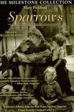 Watch Sparrows 123MoviesFree