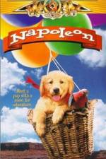 Watch Napoleon 123MoviesFree
