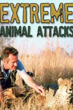 Watch Extreme Animal Attacks 123MoviesFree