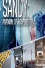 Watch Sandy Anatomy Of A Superstorm 123MoviesFree