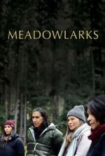 Watch Meadowlarks 123MoviesFree
