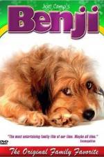 Watch Benji 123MoviesFree