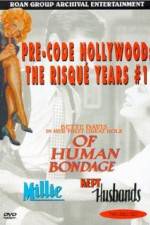 Watch Kept Husbands 123MoviesFree
