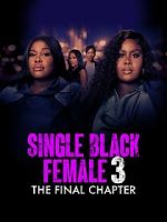 Watch Single Black Female 3: The Final Chapter 123MoviesFree