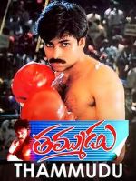 Watch Thammudu 123MoviesFree