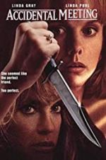 Watch Accidental Meeting 123MoviesFree