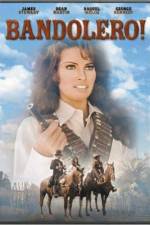 Watch Bandolero! 123MoviesFree