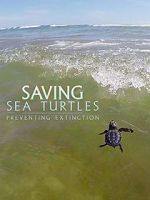 Watch Saving Sea Turtles: Preventing Extinction 123MoviesFree