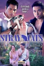 Watch Stray Cats 123MoviesFree