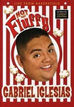 Watch Gabriel Iglesias: Hot and Fluffy 123MoviesFree