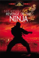 Watch Revenge of the Ninja 123MoviesFree