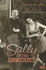 Watch Sally of the Sawdust 123MoviesFree