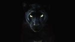 Watch The Real Black Panther (Short 2020) 123MoviesFree
