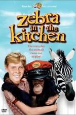 Watch Zebra in the Kitchen 123MoviesFree