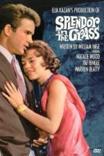Watch Splendor in the Grass 123MoviesFree