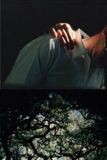 Watch The Hedge Theater 123MoviesFree