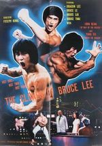 Watch The Clones of Bruce Lee 123MoviesFree