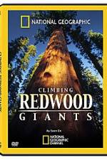 Watch National Geographic Explorer: Climbing Redwood Giants 123MoviesFree