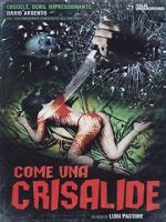Watch Symphony in Blood Red 123MoviesFree