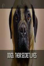 Watch Dogs: Their Secret Lives 123MoviesFree