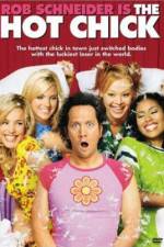 Watch The Hot Chick 123MoviesFree