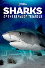 Watch Sharks of the Bermuda Triangle (TV Special 2020) 123MoviesFree