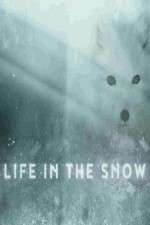 Watch Life in the Snow 123MoviesFree