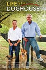Watch Life in the Doghouse 123MoviesFree