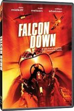 Watch Falcon Down 123MoviesFree
