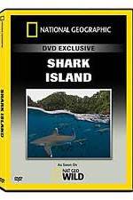 Watch National Geographic: Shark Island 123MoviesFree