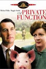 Watch Svinaktiga affärer 123MoviesFree