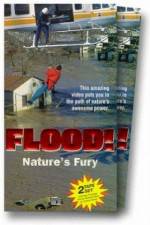 Watch Flood 123MoviesFree
