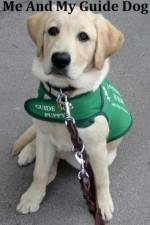 Watch Me And My Guide Dog 123MoviesFree