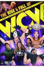 Watch WWE The Rise and Fall of WCW 123MoviesFree