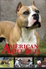 Watch American Pit Bull 123MoviesFree