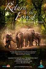 Watch Return to the Forest 123MoviesFree