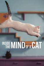 Watch Inside the Mind of a Cat 123MoviesFree
