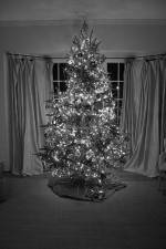 Watch The Christmas Miracle 123MoviesFree